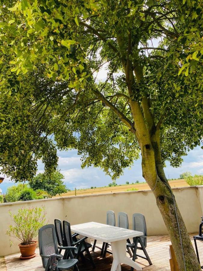 Gite Spa La Grange Kintzheim Buitenkant foto