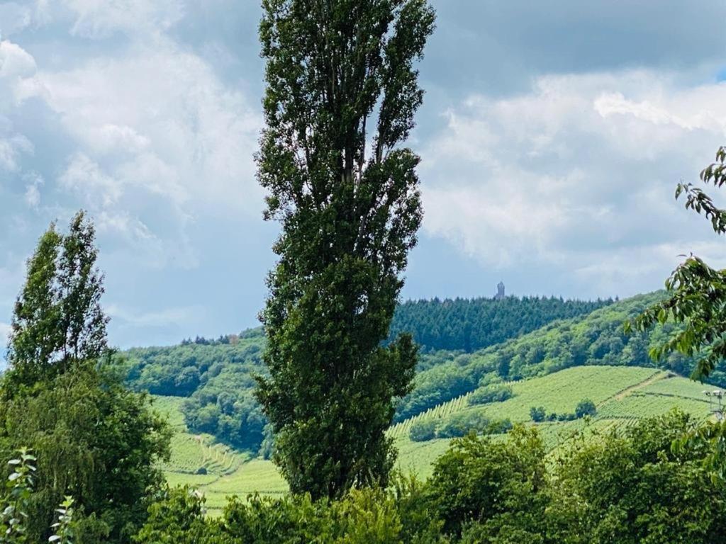 Gite Spa La Grange Kintzheim Buitenkant foto