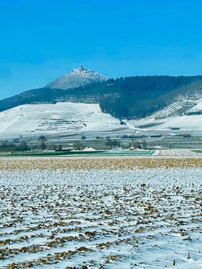 Gite Spa La Grange Kintzheim Buitenkant foto
