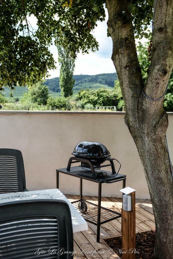 Gite Spa La Grange Kintzheim Buitenkant foto